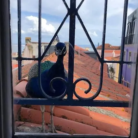 A Romantic Getaway Inside The Castle Walls Lisboa